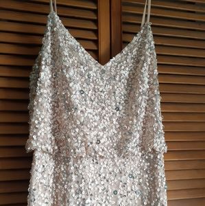 Adrianne Papell sequin blush dress